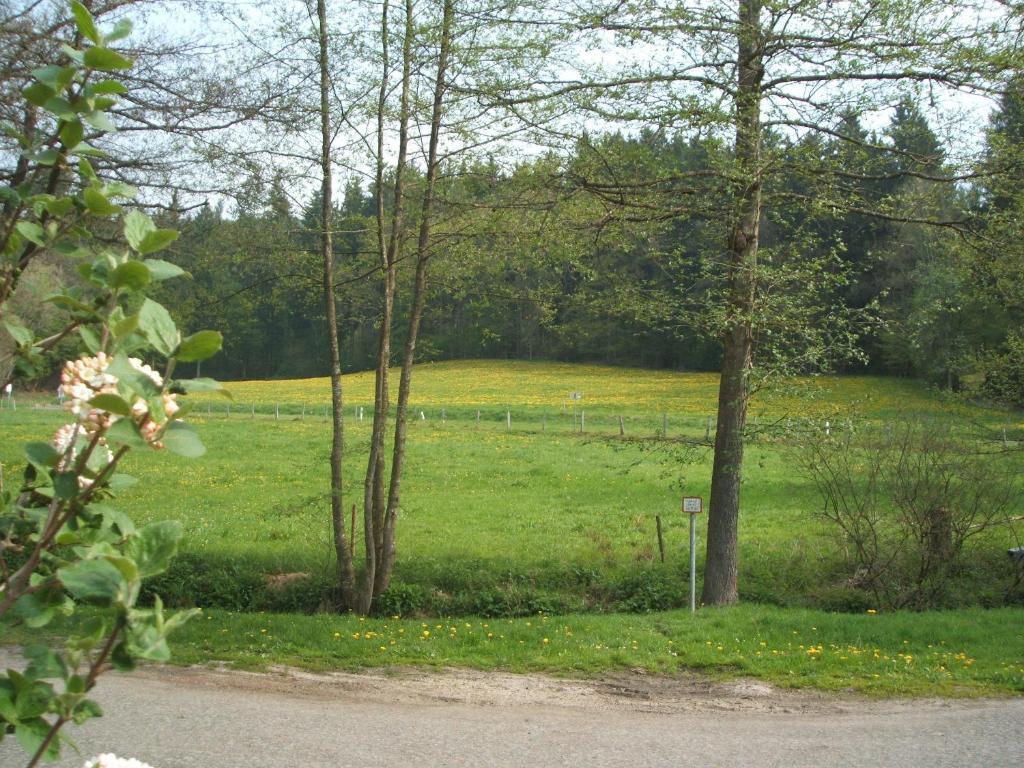 Gasthof & Landhotel Ohrnbachtal Weilbach Eksteriør bilde